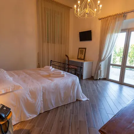 Fattoria L'Olmetto Villa Pisa Buitenkant foto