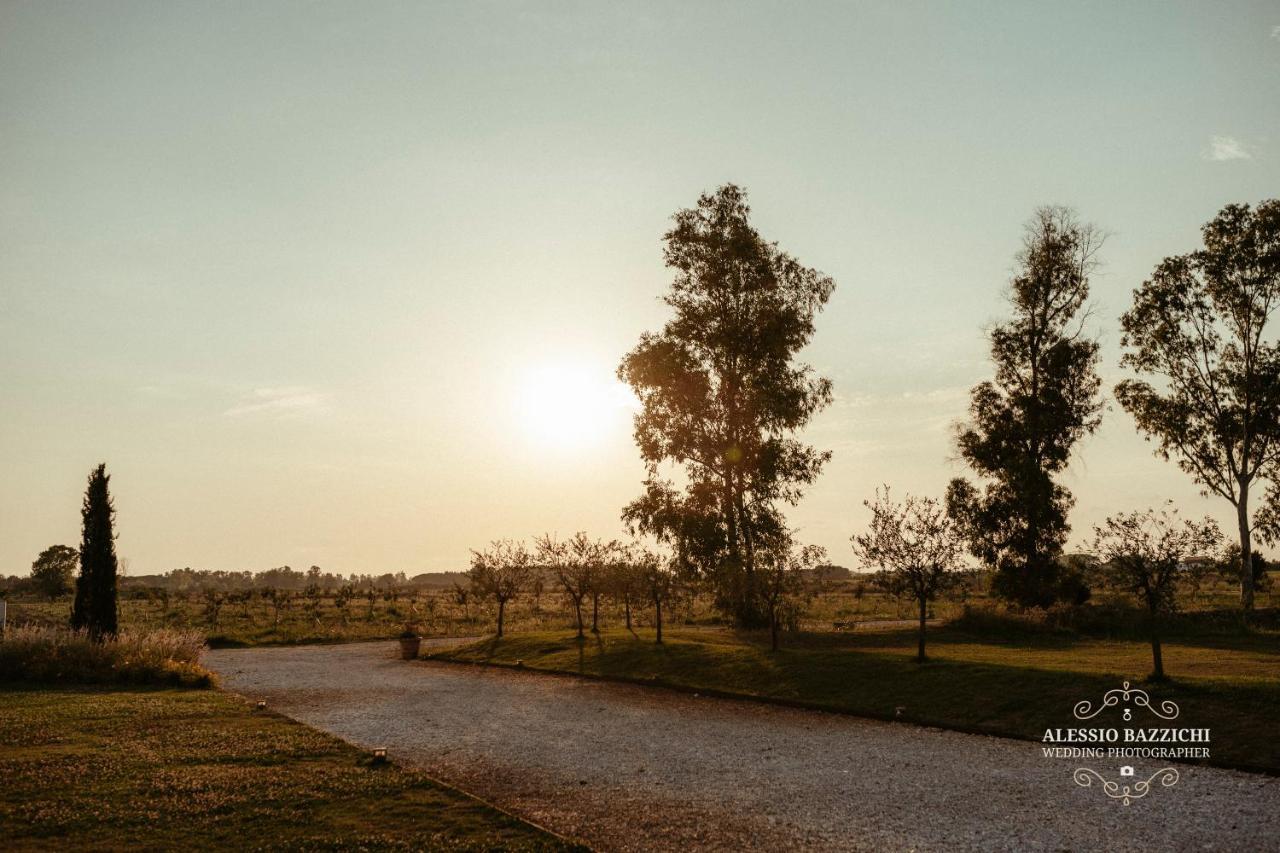Alojamento de Turismo Rural Fattoria L'olmetto Pisa