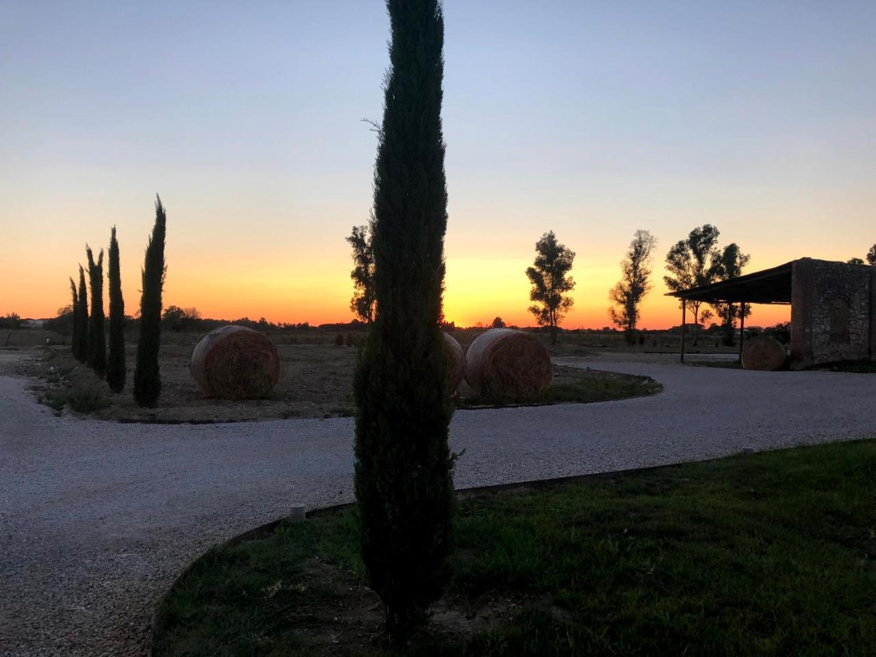 Alojamento de Turismo Rural Fattoria L'olmetto *