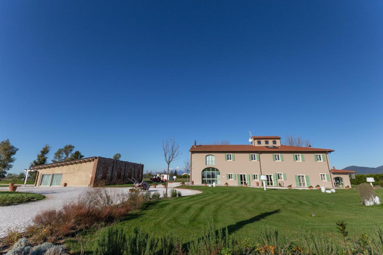 Fattoria L'olmetto * Pisa